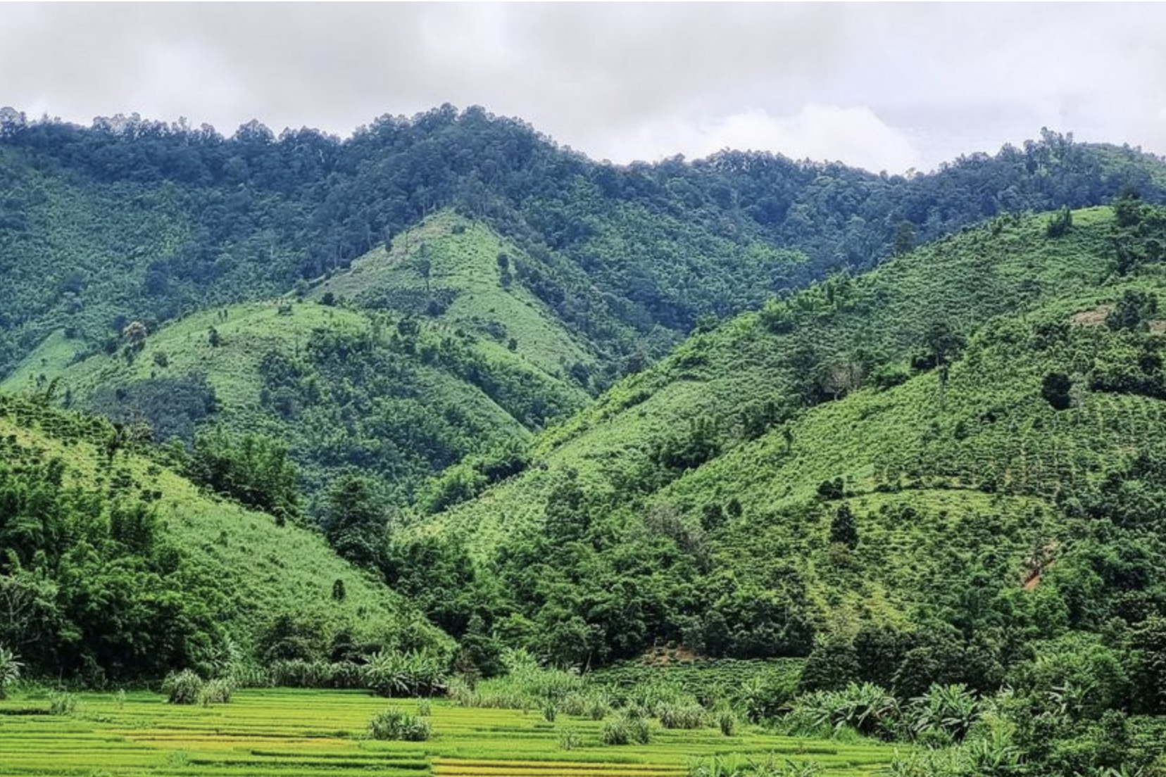 Nỗ lực thực hiện các cam kết của Việt Nam tại COP 26