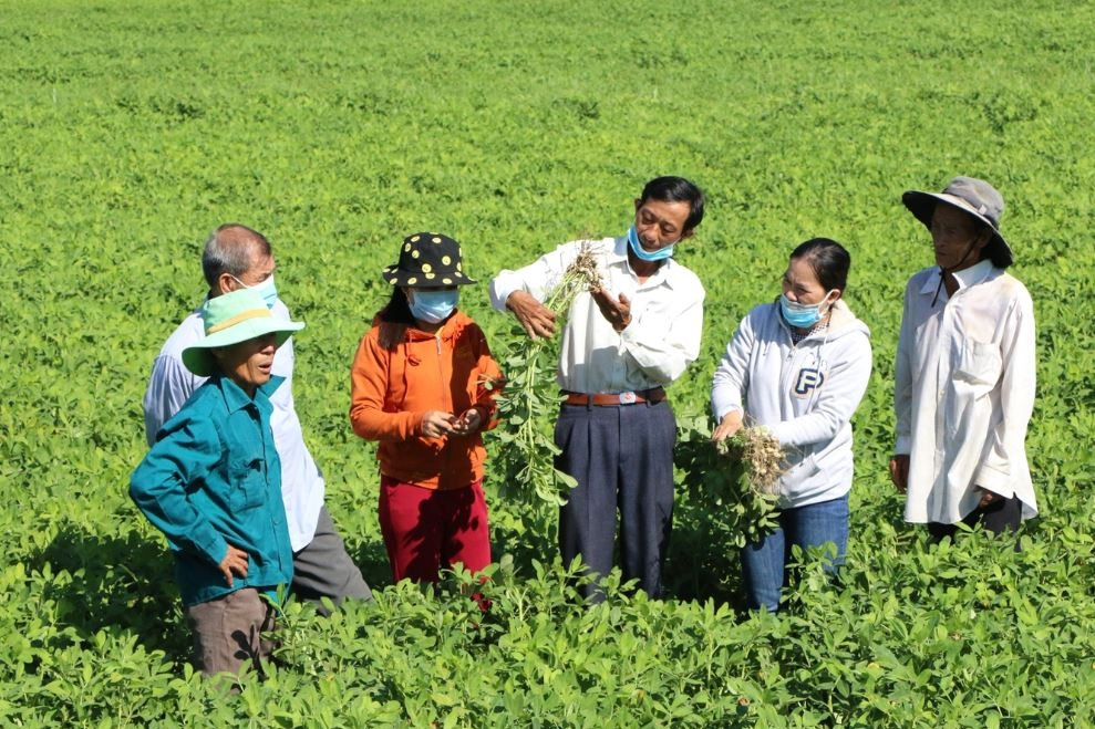 Quảng Ngãi hỗ trợ chuyển đổi nghề cho 213 hộ dân tộc thiểu số