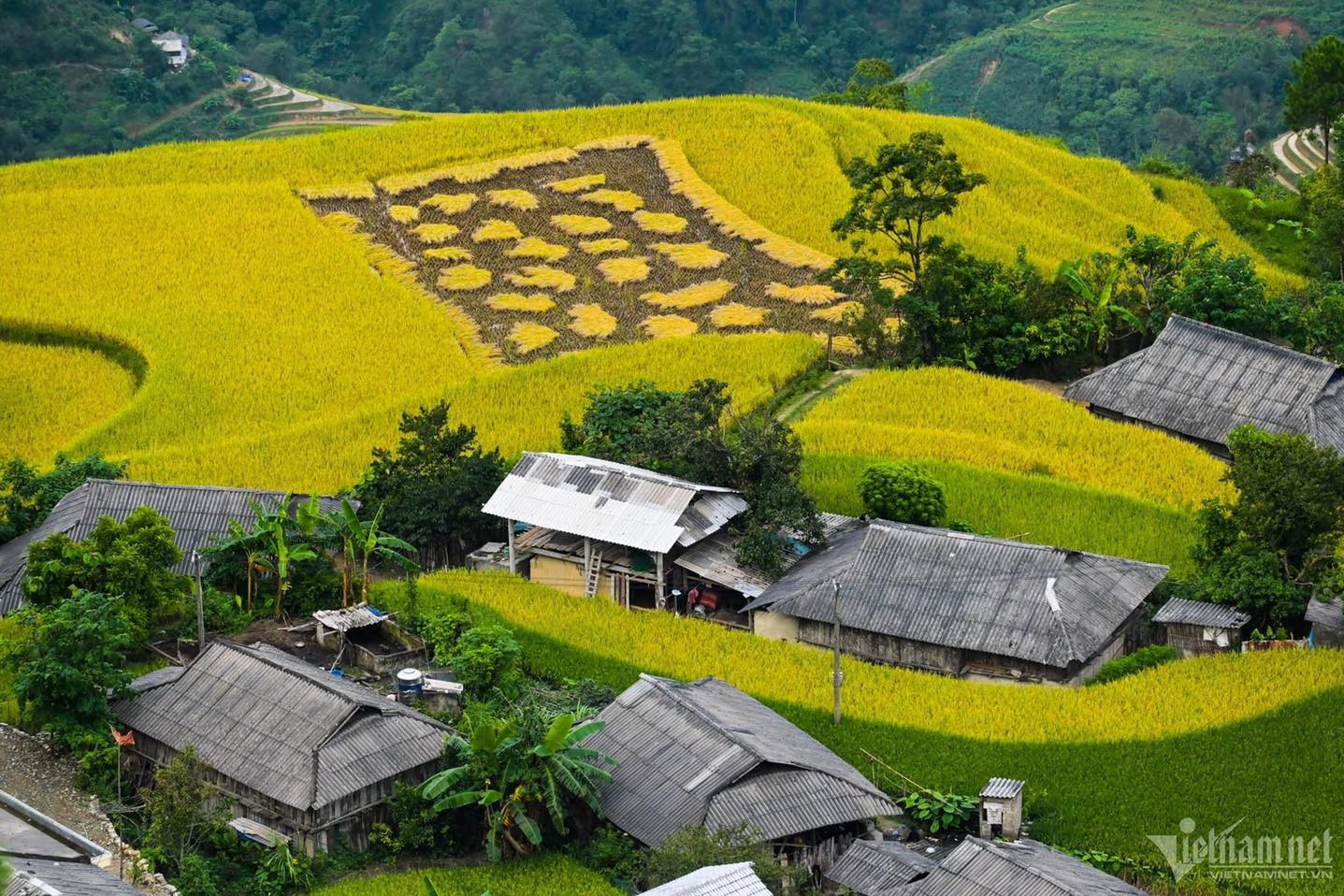 Việt Nam luôn là thành viên có trách nhiệm của cộng đồng quốc tế về phát triển bền vững