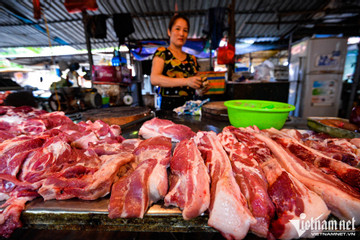 Vietnamese, especially in cities, eat too much meat