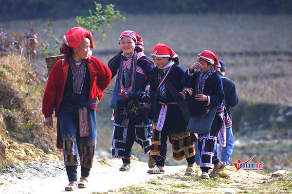 vungdtts.jpg