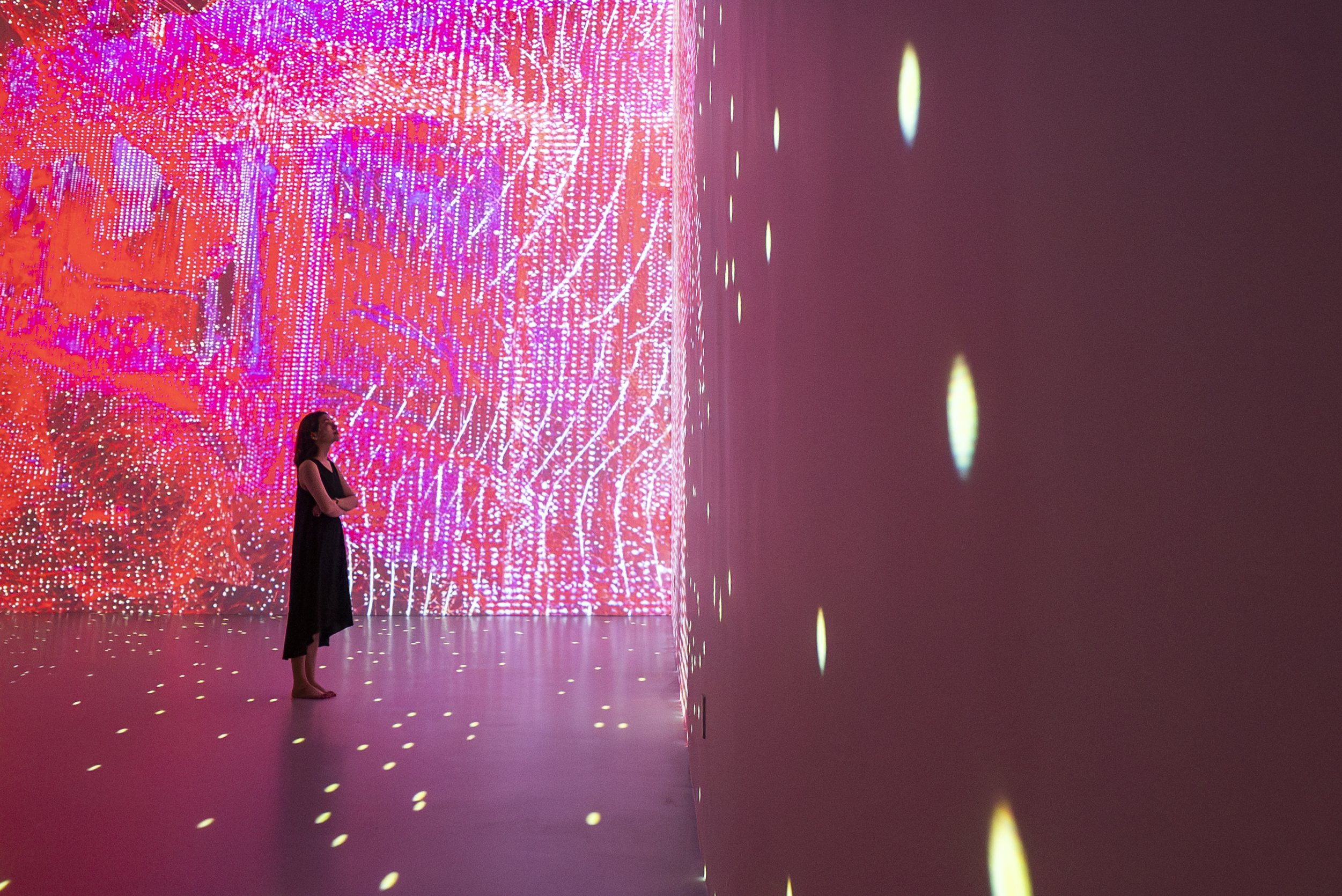 z4788997905466 c5b519fbca3dc14207ef13d930d6eaf7.jpg