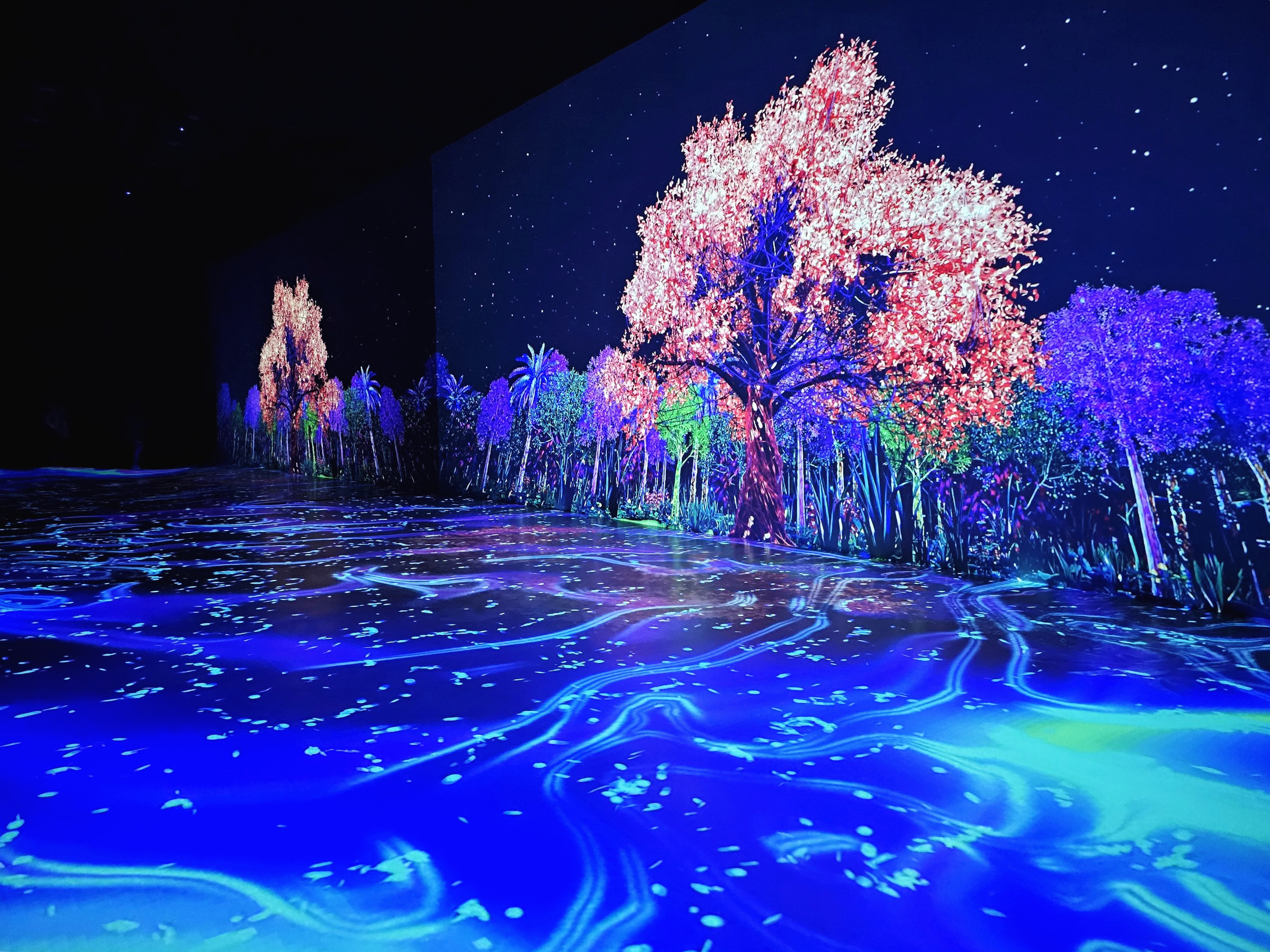 z4790091569558 dcf121f35fbfd5a3aadb26dc28ae439a.jpg