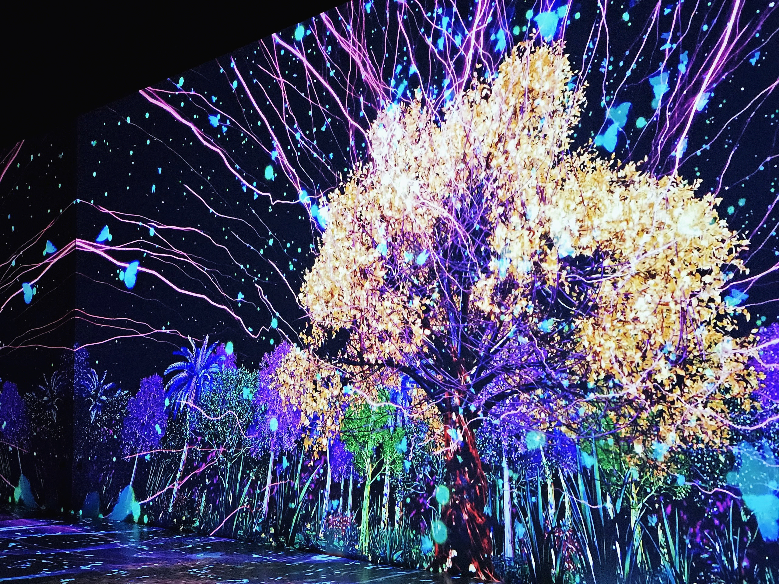 z4790091571841 e06316e0f1efcb25f246da8b5b1f2f8f.jpg