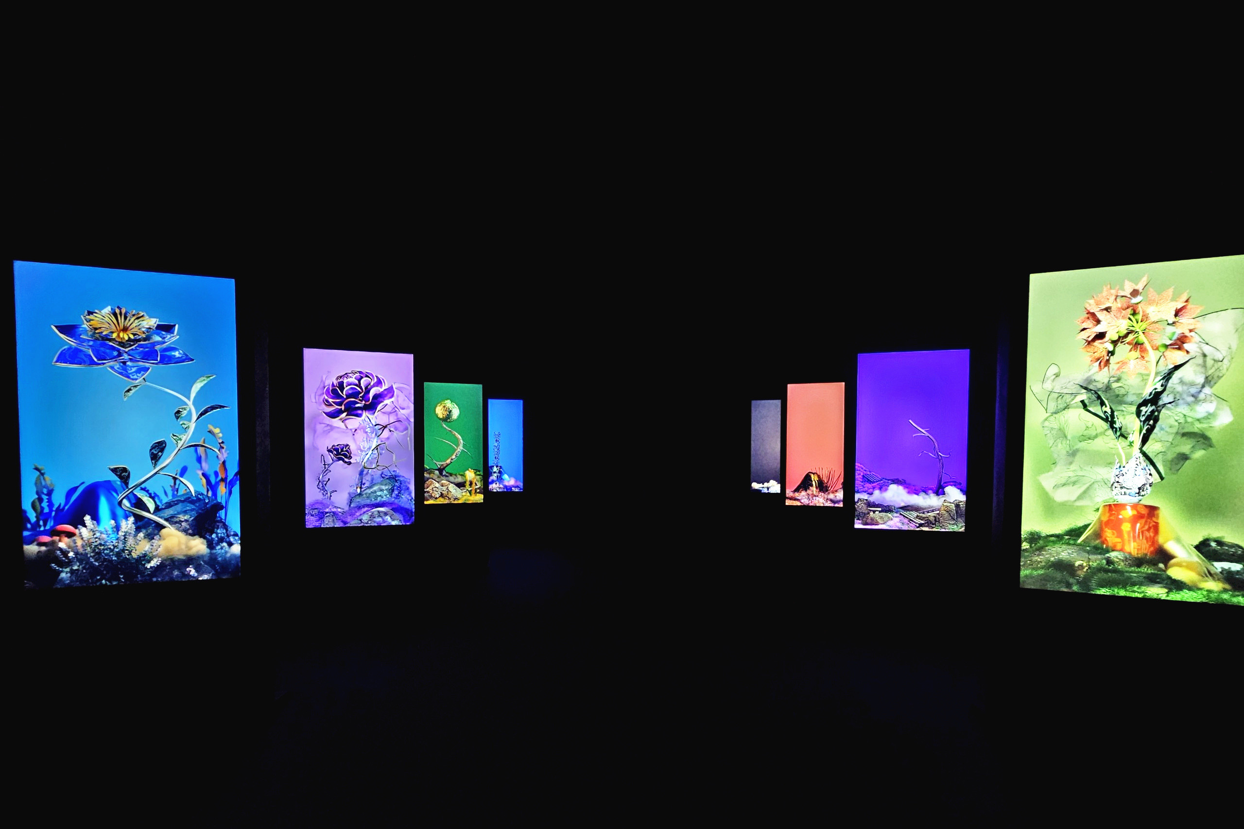 z4790091580767 8af422ac5151bc44ba3ba02ff628dda5.jpg