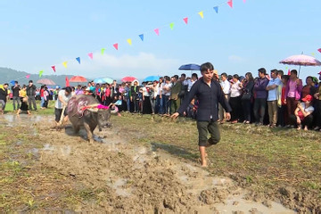 Lai Châu: Hành trình phục dựng lễ hội Gầu Tào của người Mông ở Than Uyên