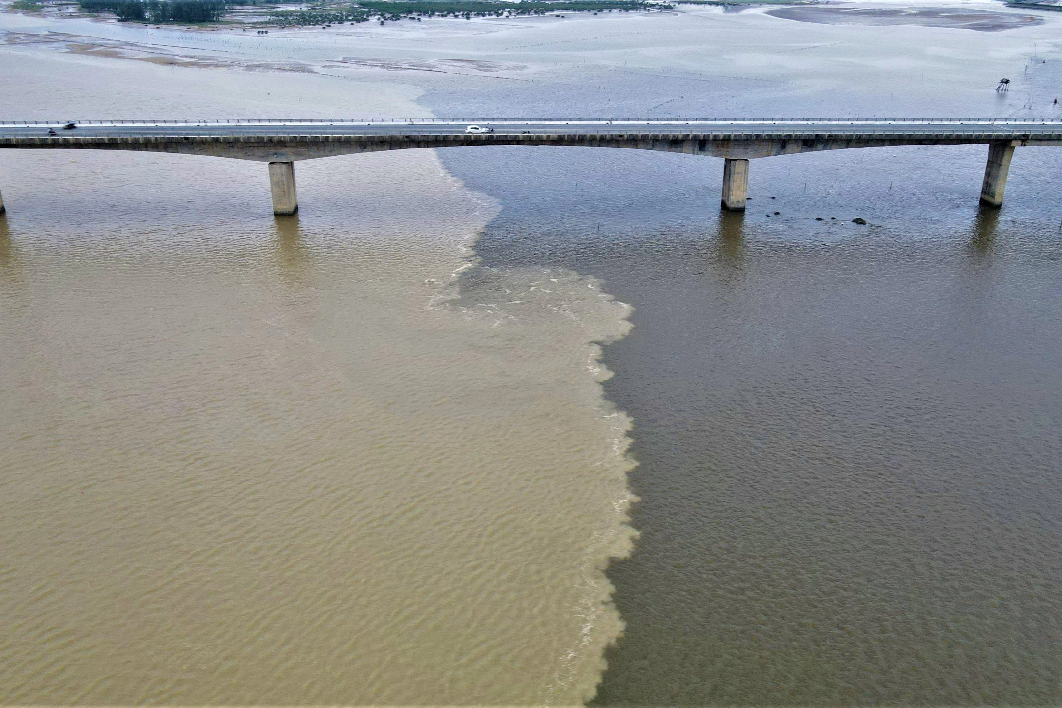 Mặt biển chia đôi với 2 màu nước, chảy qua cầu 500 tỷ đồng - 2