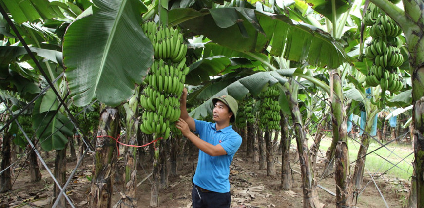 nong san dia phuong 2.jpg