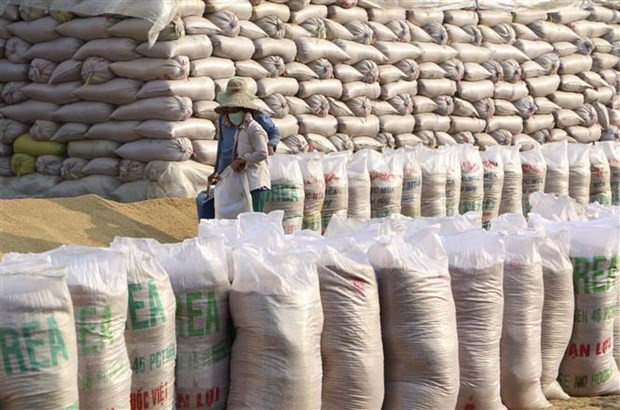 170 eligible rice exporters announced hinh anh 1