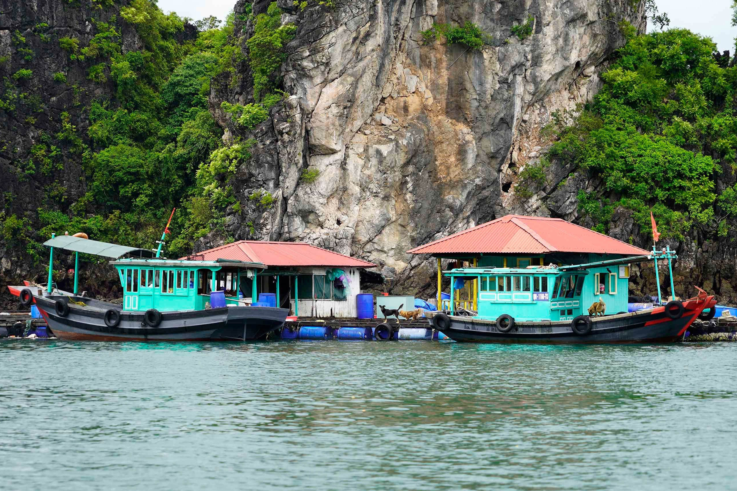 Ảnh hưởng bão số 5, Quảng Ninh tạm dừng các phương tiện thuỷ ra khơi