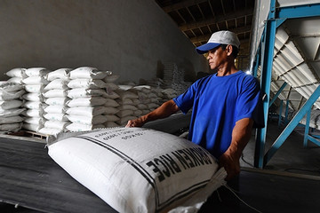 Giá gạo Việt xuất khẩu tiếp đà tăng mạnh, sắp chạm đỉnh lịch sử