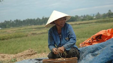 Lắm đầy tớ chỉ khổ ông chủ