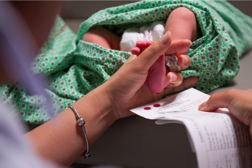 Sàng lọc sơ sinh giúp phát hiện, điều trị sớm các bệnh cho trẻ miền núi