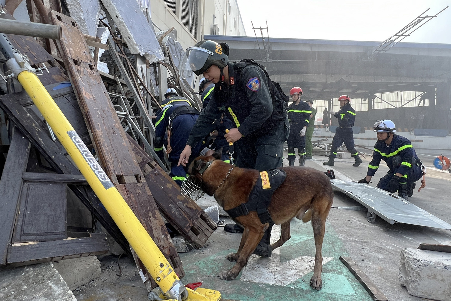 z4796914213386 b0212ca9f654d5bb8e2d2832d7e96230 copy.jpg