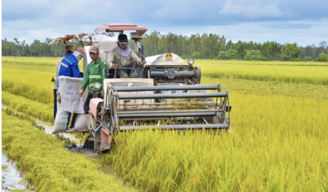 Việt Nam phấn đấu sánh vai các nước có nền nông nghiệp hàng đầu thế giới