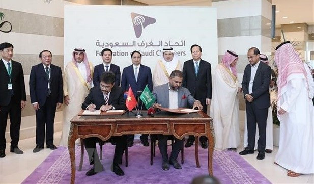 Vietnam, Saudi Arabia sign action programme to boost tourism cooperation hinh anh 1