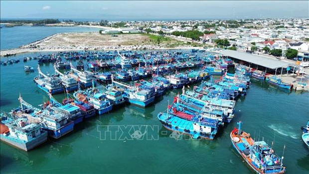 EC delegation recognises Vietnam’s anti-IUU fishing efforts: official hinh anh 1