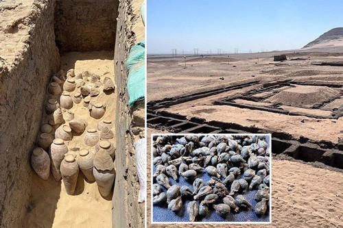 Phát hiện hàng trăm hũ rượu vang 5.000 năm tuổi trong lăng mộ nữ hoàng Ai Cập