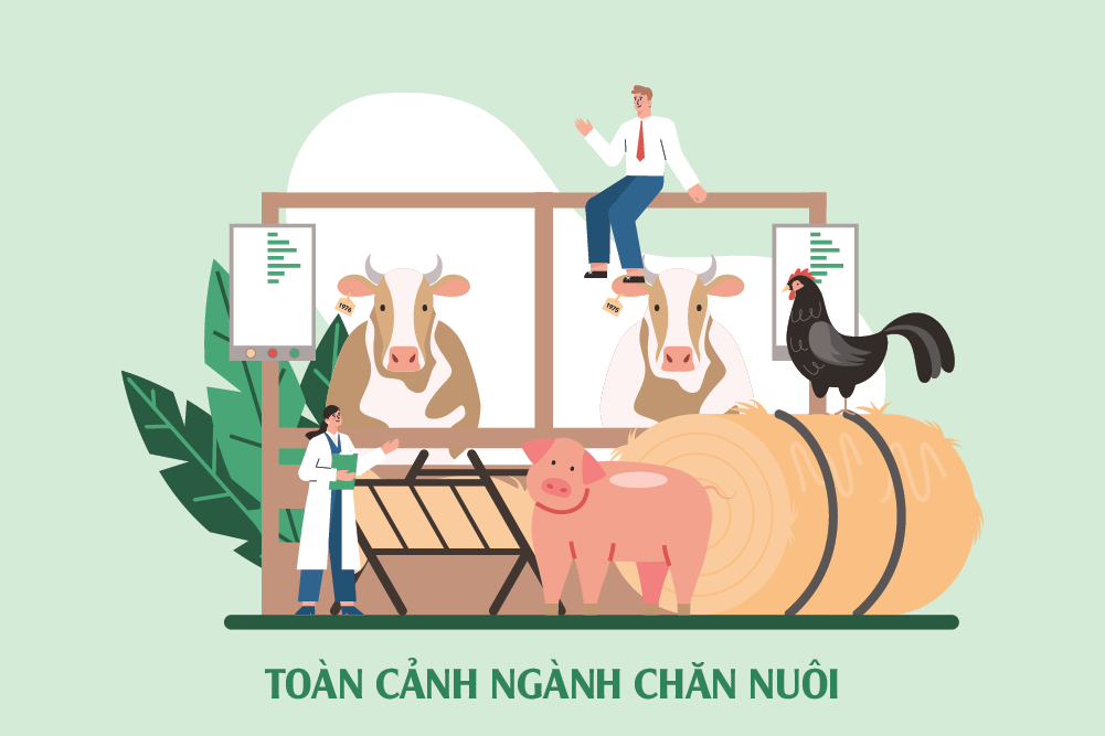 Toàn cảnh ngành chăn nuôi: Liên tục thua lỗ, vẫn nhập khẩu khủng