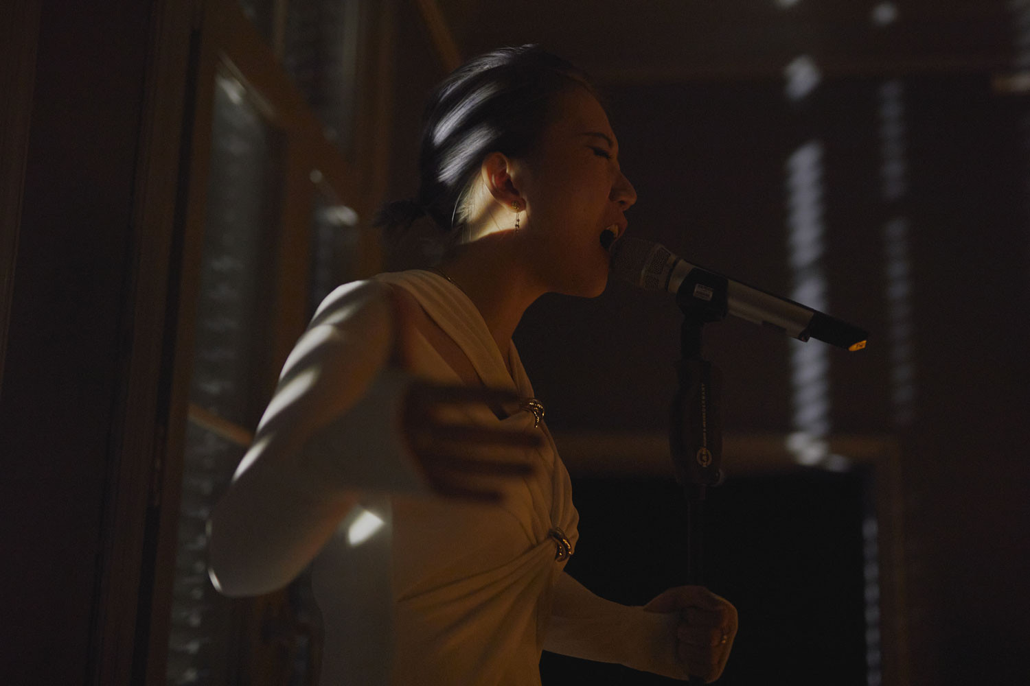 cats exhibition 17.jpg