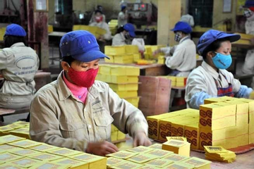 Một công ty bán vàng mã, tinh bột sắn thu hơn 50 tỷ đồng mỗi tháng
