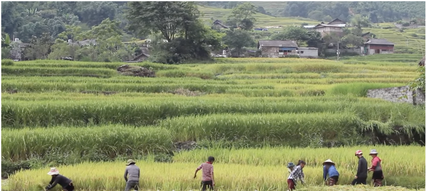 anh man hinh 2023 09 07 luc 135633.png