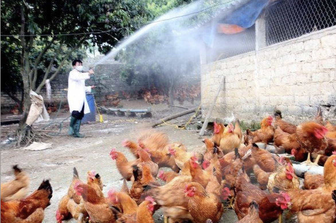 anh man hinh 2023 10 24 luc 202933.png