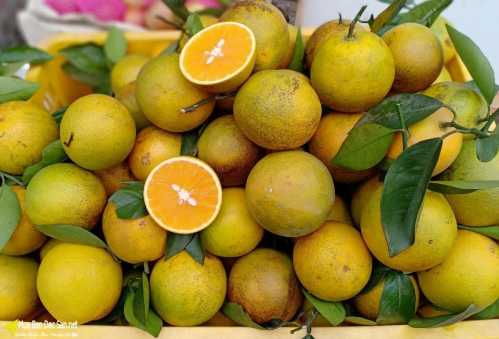 30 mar 2023 090854 gmtimage001.jpg