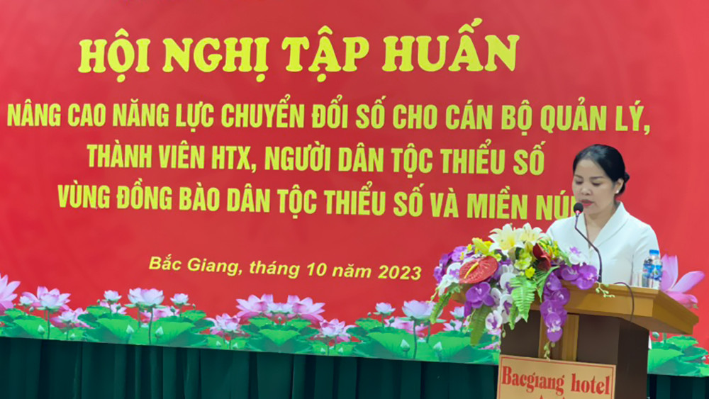 bac giang 1.jpg