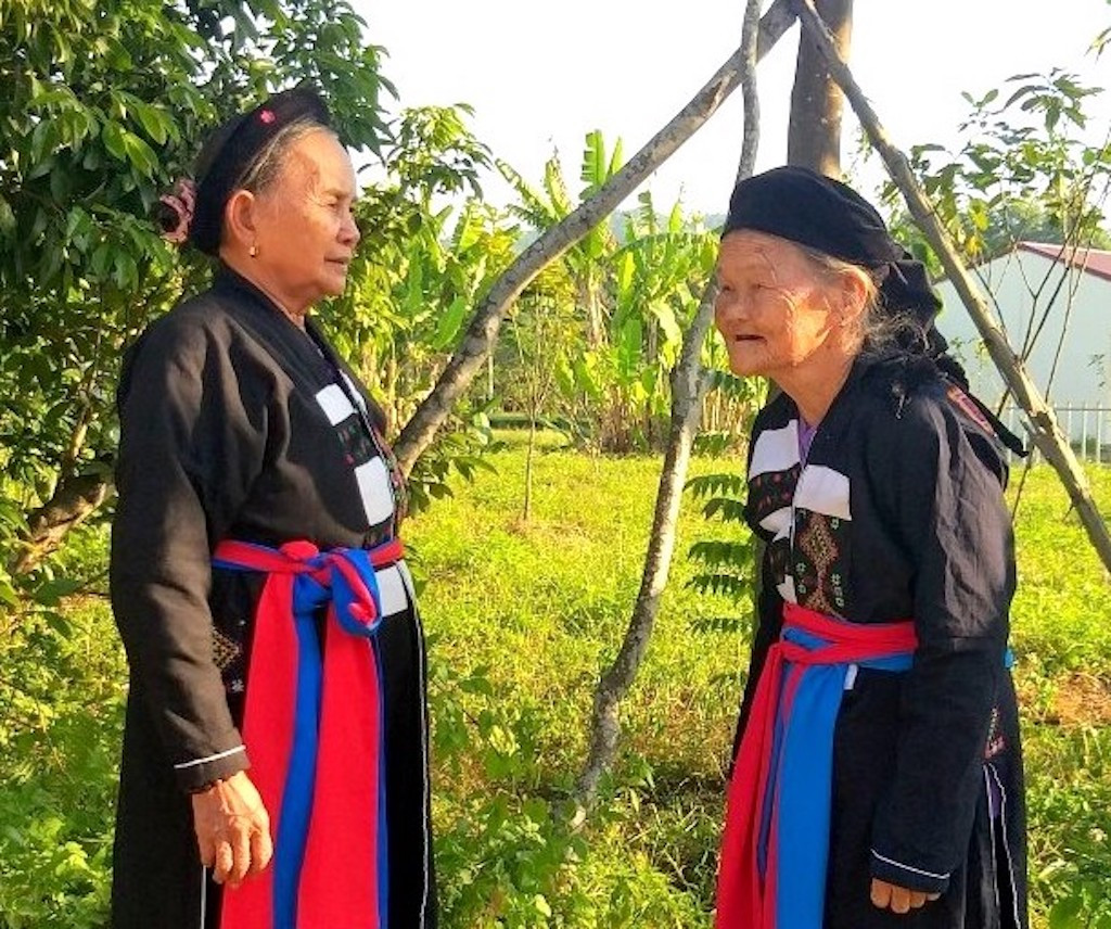 cao lan.jpeg