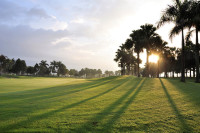 Bản tin cuối ngày 25/10: Hà Nội là 'Điểm đến thành phố Golf tốt nhất thế giới'