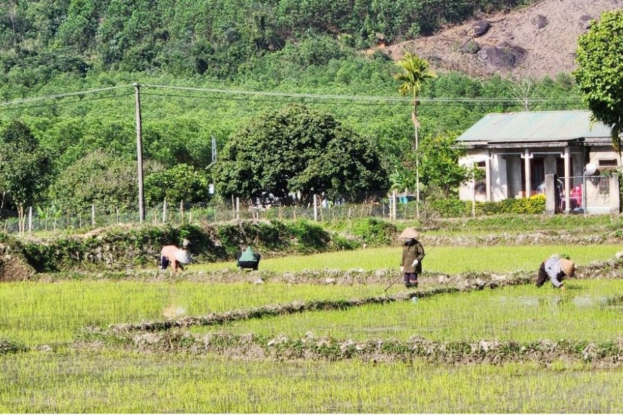 Hộ nghèo vùng dân tộc thiểu số và miền núi Thừa Thiên Huế giảm gần 9,9%