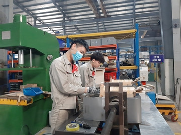 VN supporting industry: low quality, high price