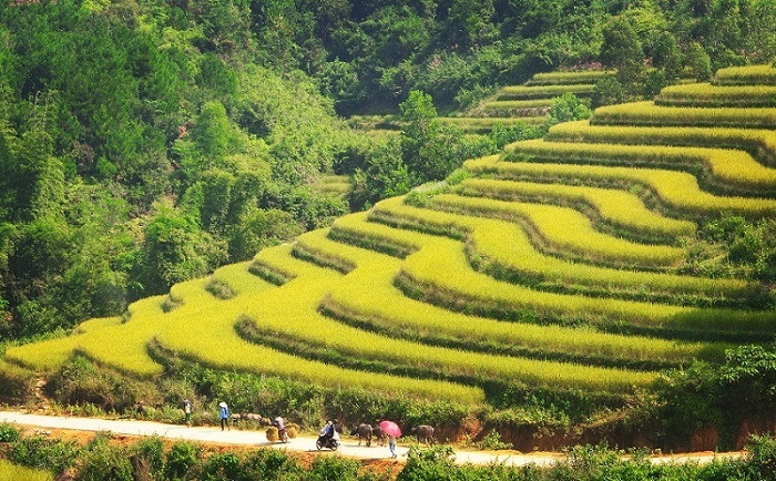 binhlieu2 quảng ninh .jpg