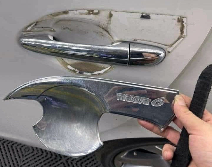 img 2749 1621419099181.jpeg