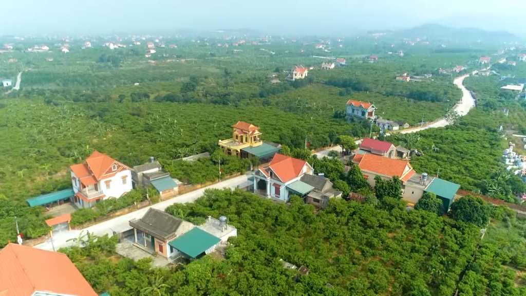 ntm1 quảng ninh .jpg