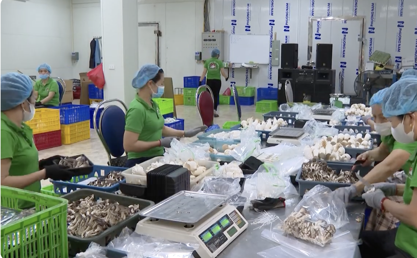 “Làng văn hóa kiểu mẫu” thúc đẩy mối liên kết giữa người dân và doanh nghiệp