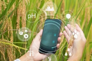 Vai trò của 5G trong thúc đẩy tự động hóa nông nghiệp chính xác