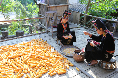 Việt Nam đóng góp tích cực an ninh lương thực