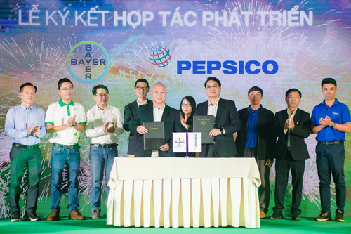 Bayer và Pepsico Việt Nam hợp tác thúc đẩy canh tác bền vững