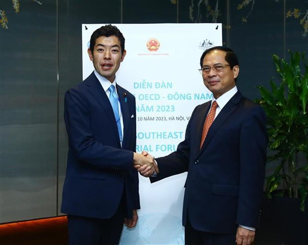 Vietnam calls for more OECD’s policy recommendations hinh anh 2