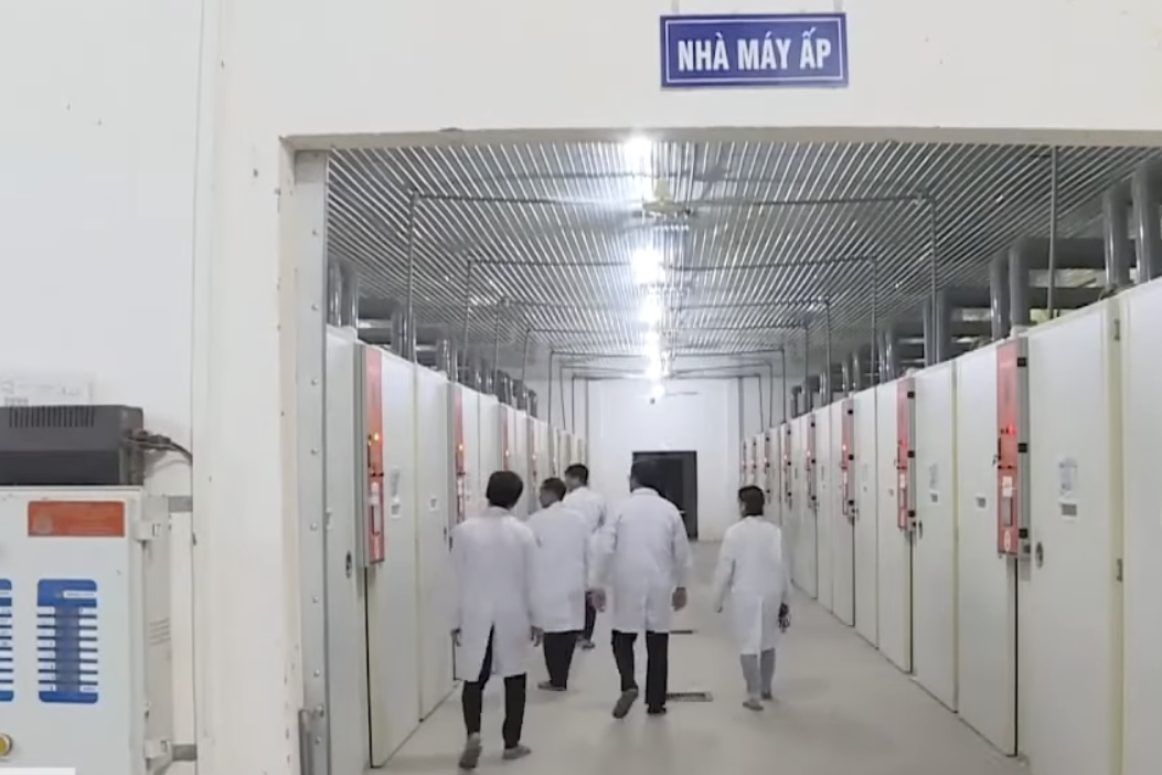 Chiến lược bài bản xây dựng thương hiệu nông sản Bình Dương