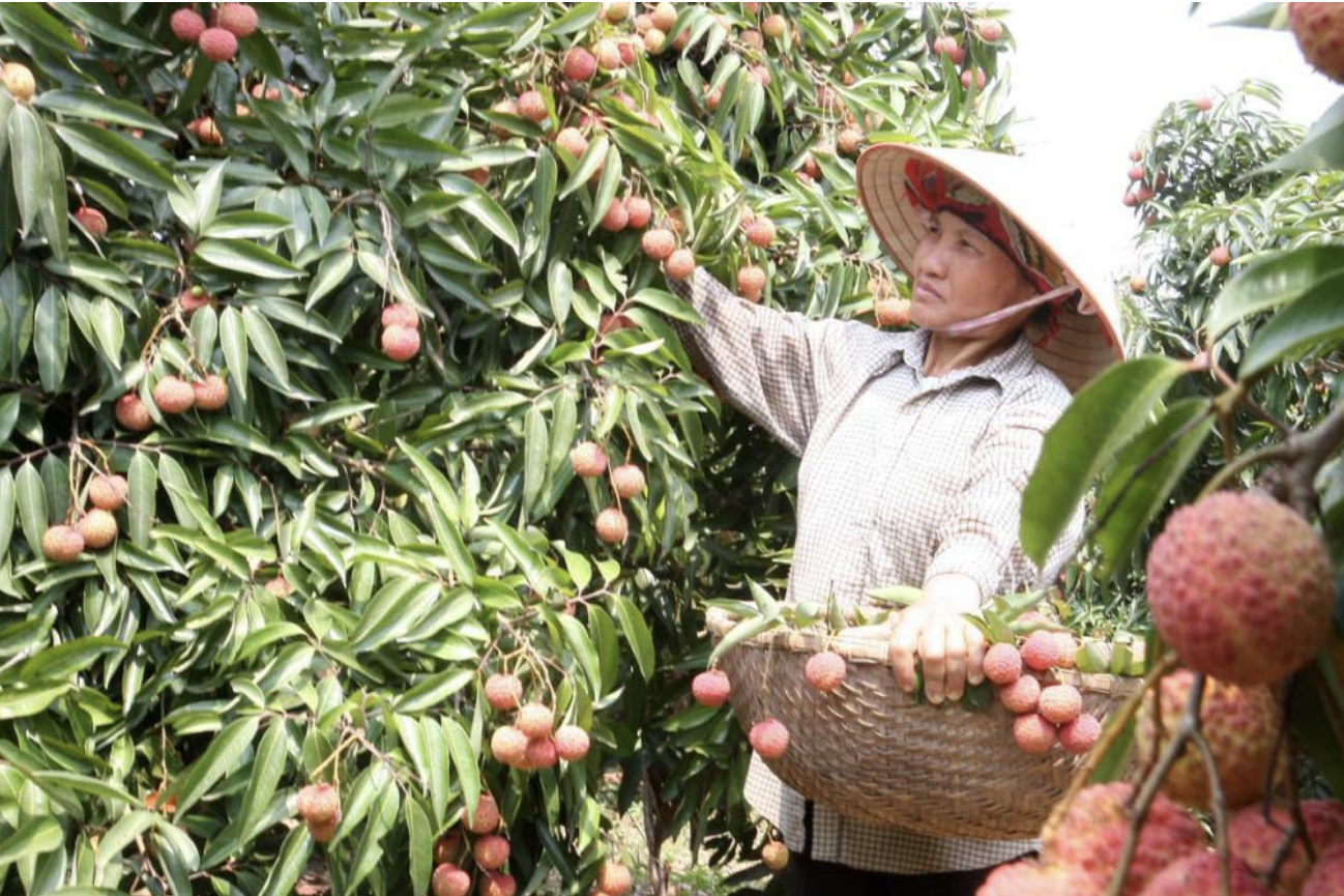 Công bố 'Đánh giá kết quả ba năm thực thi Hiệp định EVFTA đối với kinh tế Việt Nam'