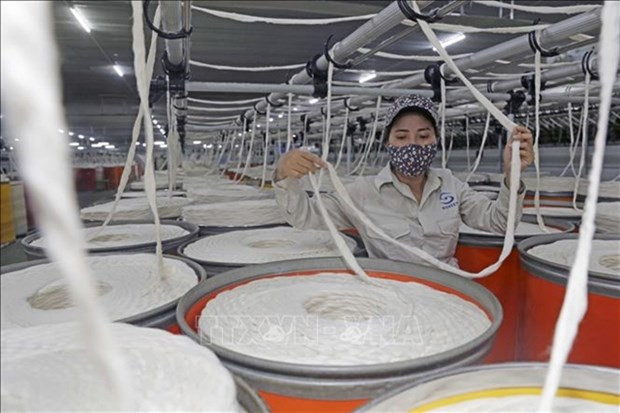 Vietnam's fibre exports foresee positive signals hinh anh 1