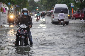 Kỳ triều cường rằm tháng 9, nước dâng ngập nhiều đường trung tâm TP.HCM