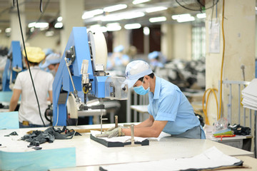 Half of Vietnamese workers surveyed want new jobs