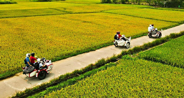 Hoi An offers new tourism services