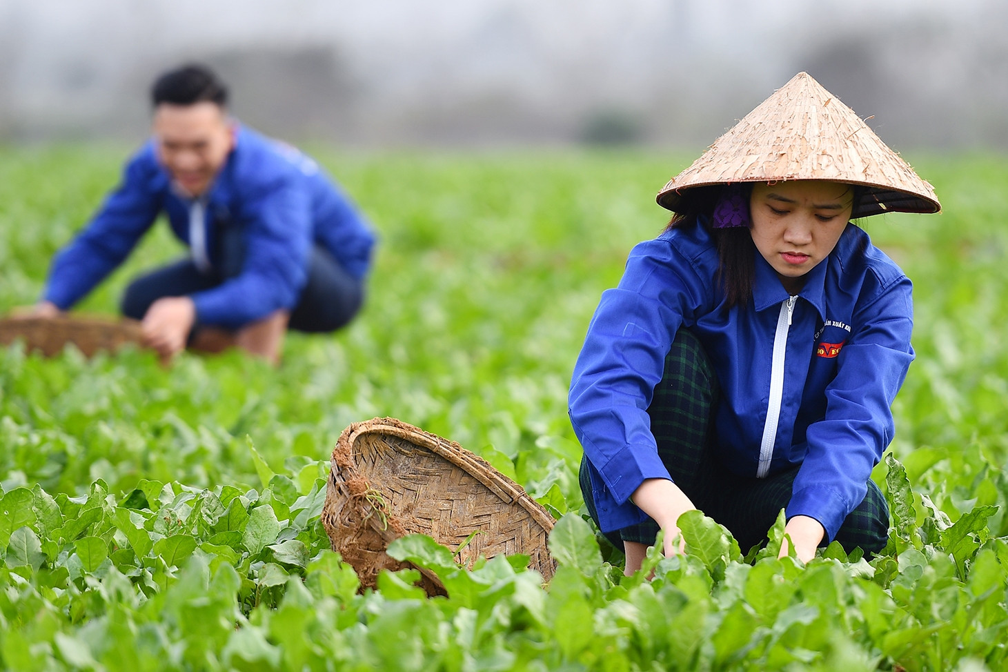 Chính sách mới: Giảm tiền thuê đất, tiêu chuẩn xe ô tô công cho lãnh đạo