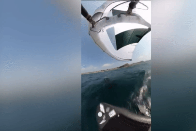 Khoảnh khắc vận động viên lướt ván bị cá voi lưng gù hạ gục