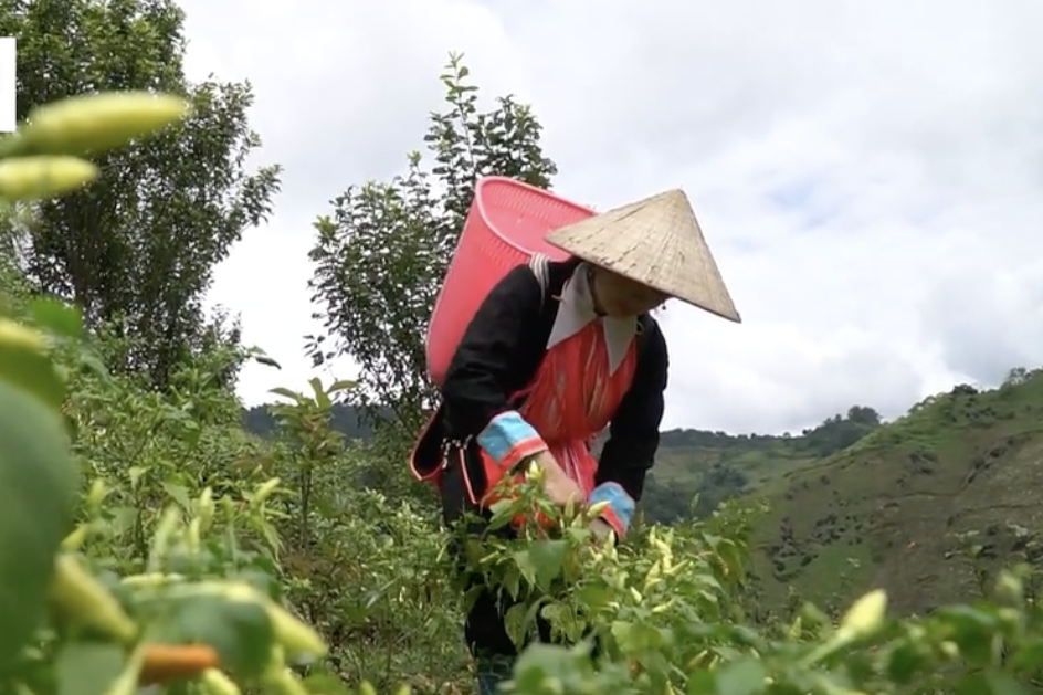 Si Ma Cai phổ biến chính sách, pháp luật về bình đẳng giới, vì sự tiến bộ của phụ nữ DTTS